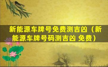 新能源车牌号免费测吉凶（新能源车牌号码测吉凶 免费）